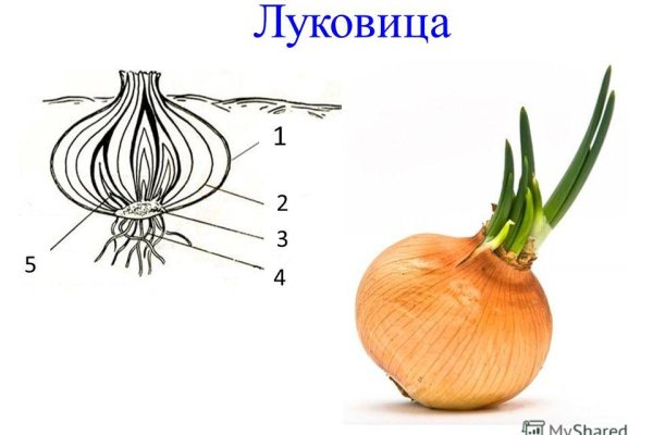 Актуальные ссылки на кракен тор